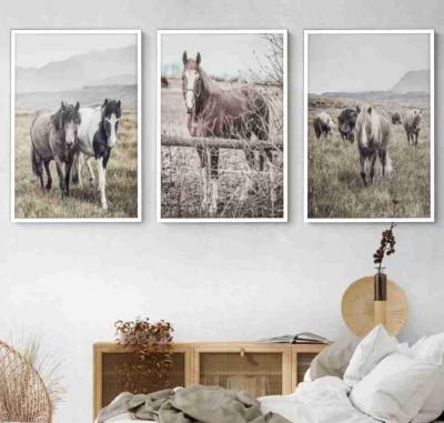SET 3 CUADROS CABALLOS